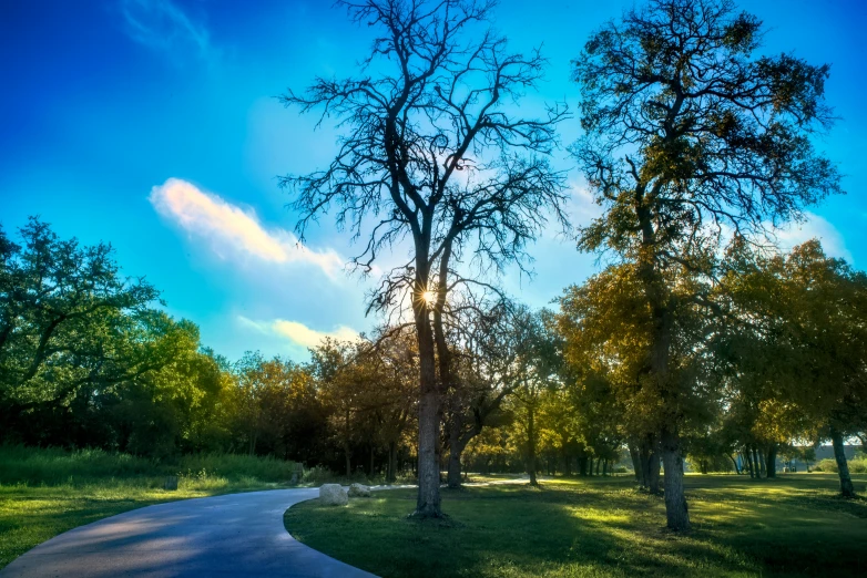 sun shines through some trees on a sunny day