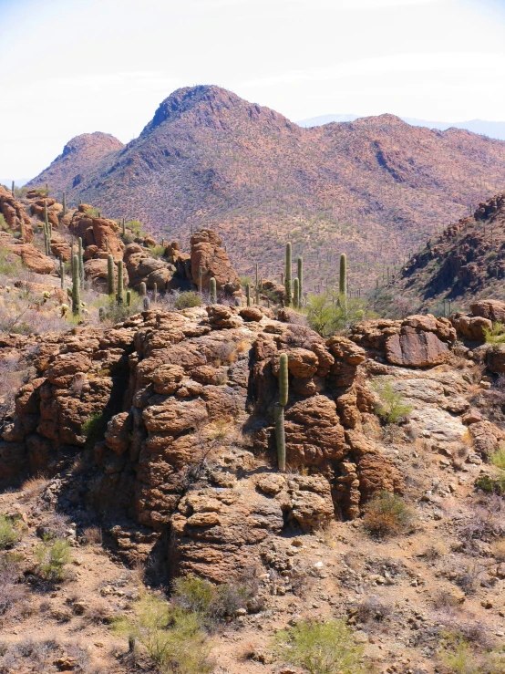 a dirt hill in a desert area with a cactus, mountains and shrubs in the background