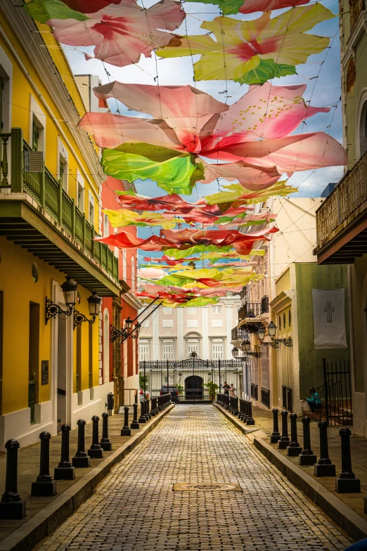 umbrellas are covering a paved area in the daytime