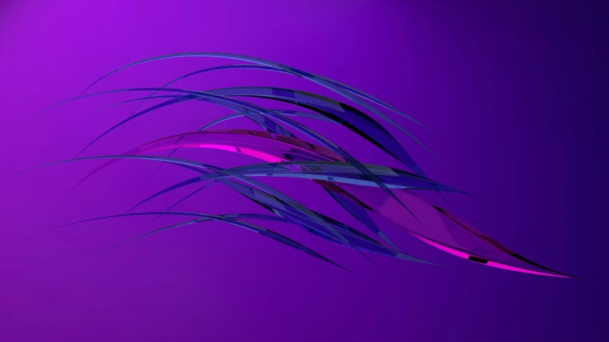 a blurry image of pink feathers against a purple background