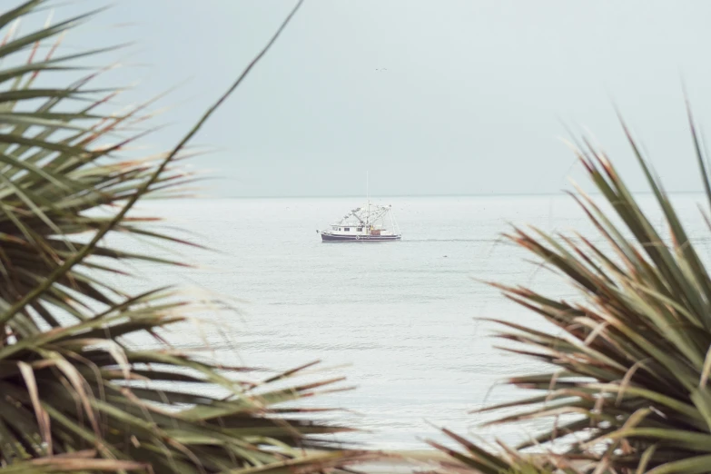 small boat with people out in the water