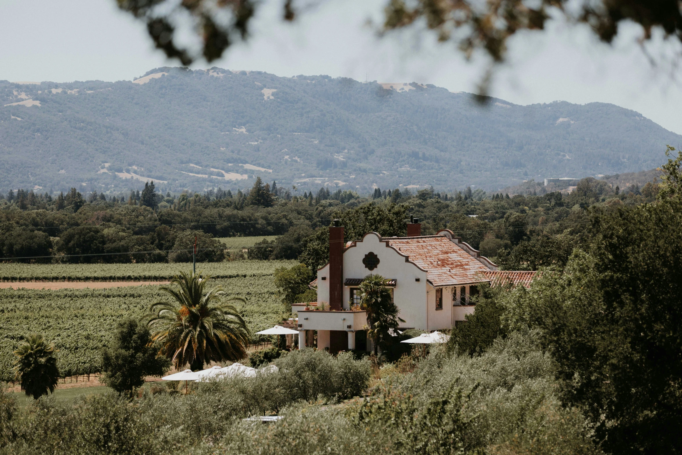 the house is nestled in front of some green trees