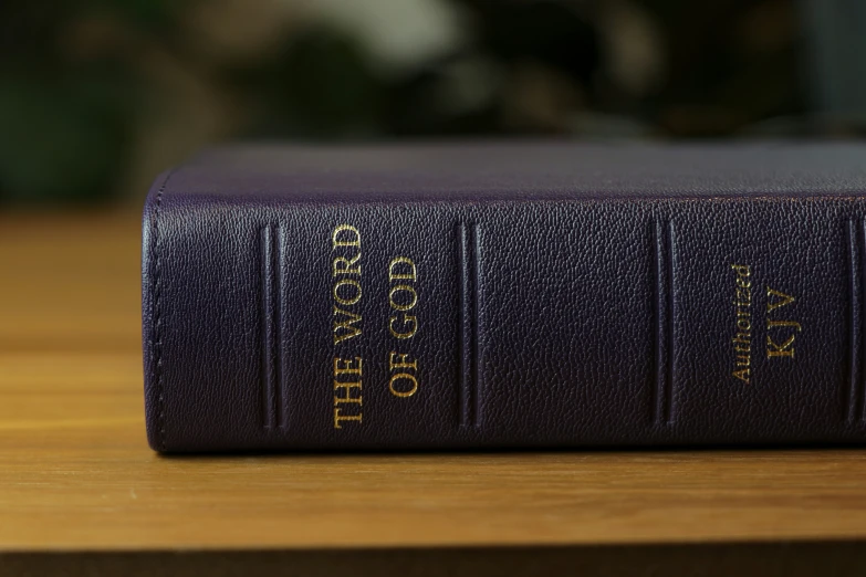 a purple book that reads god's people with gold letters on top