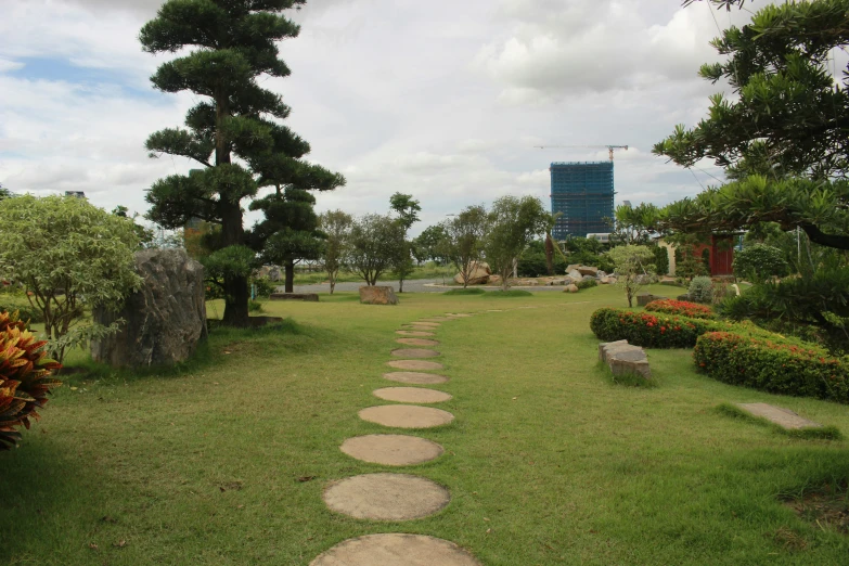 some trees bushes and grass a bench and some rocks