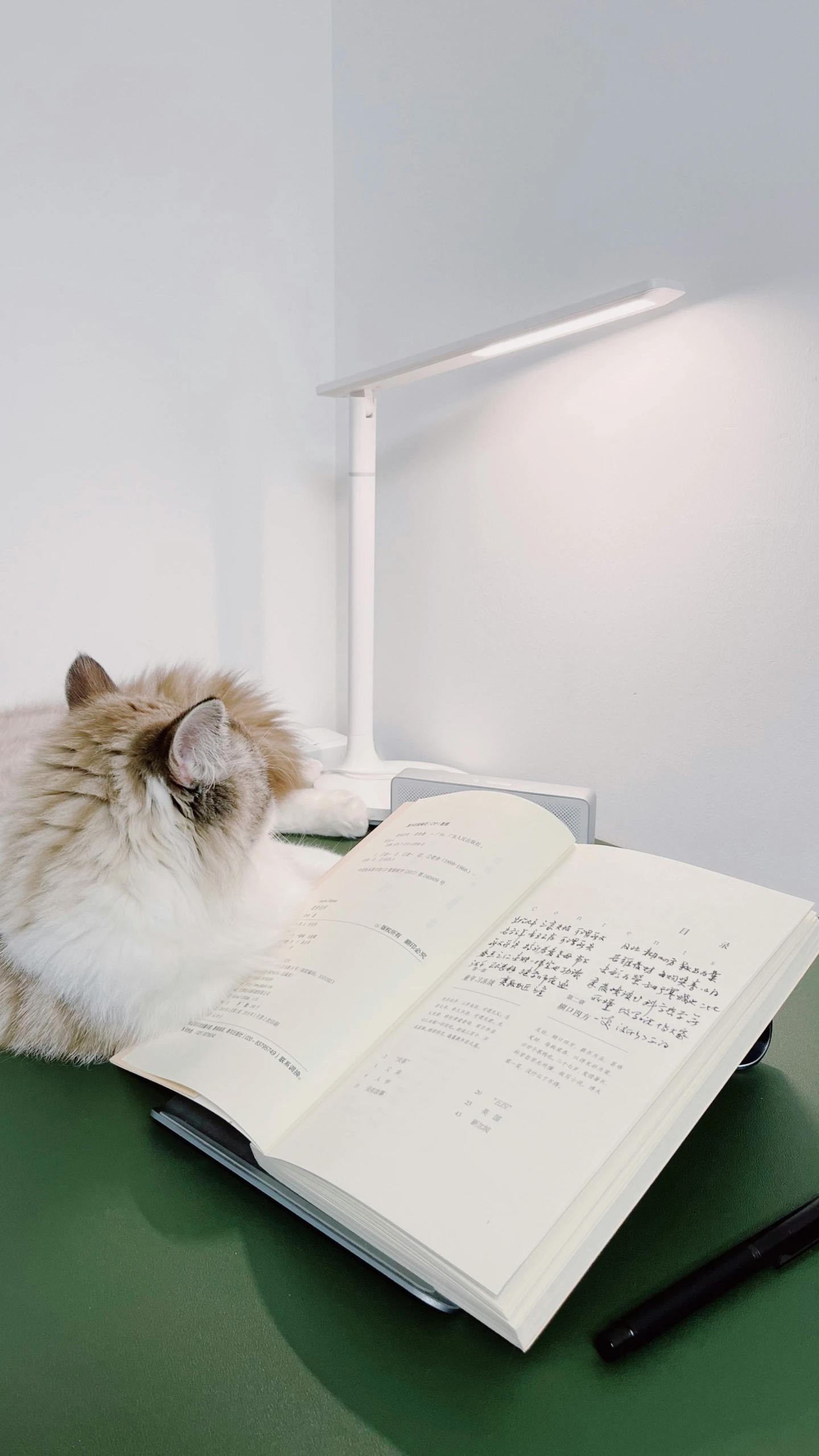 the cat is laying down by a book with a pen on it
