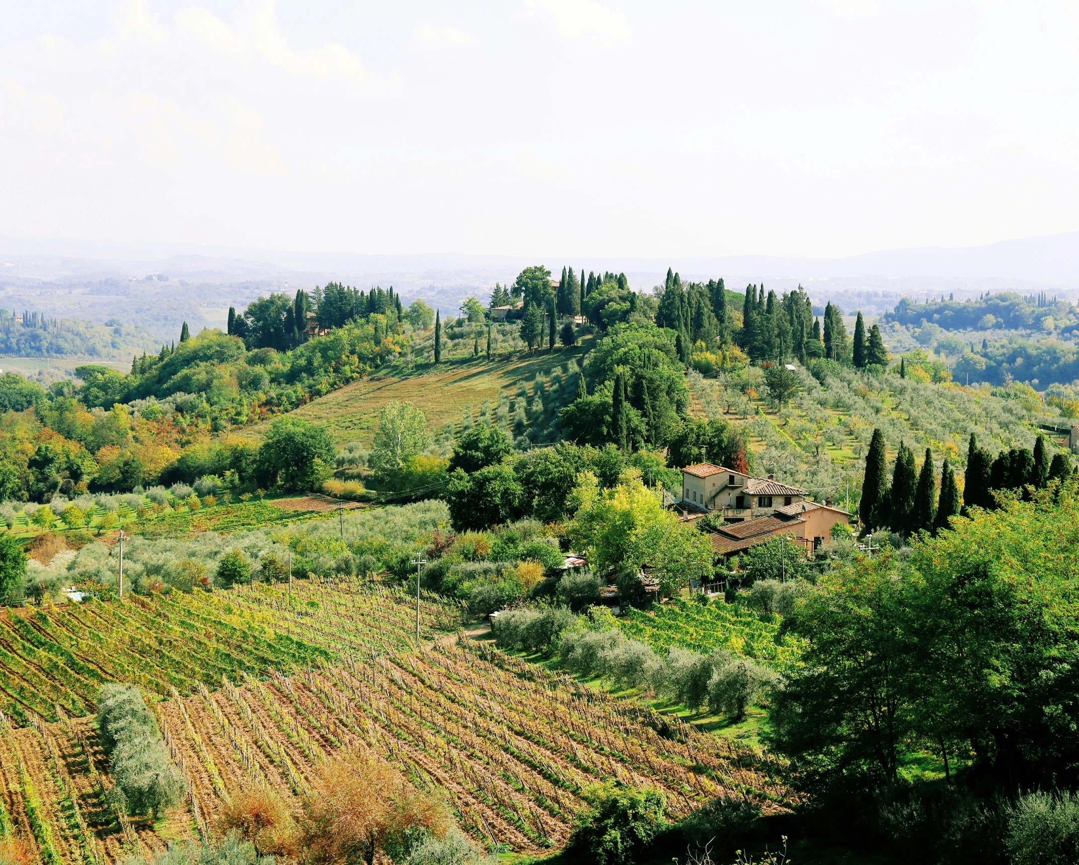 a rural hillside area with rolling hills and green trees