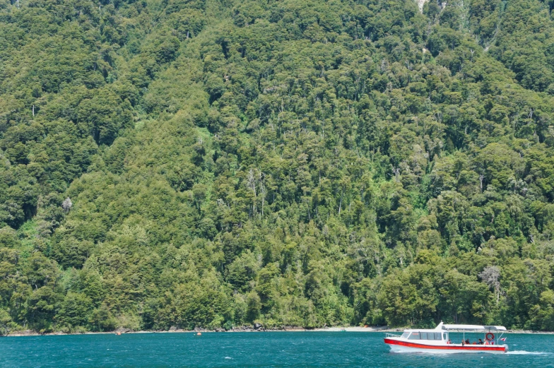 boat traveling along the water with tall, green trees in background