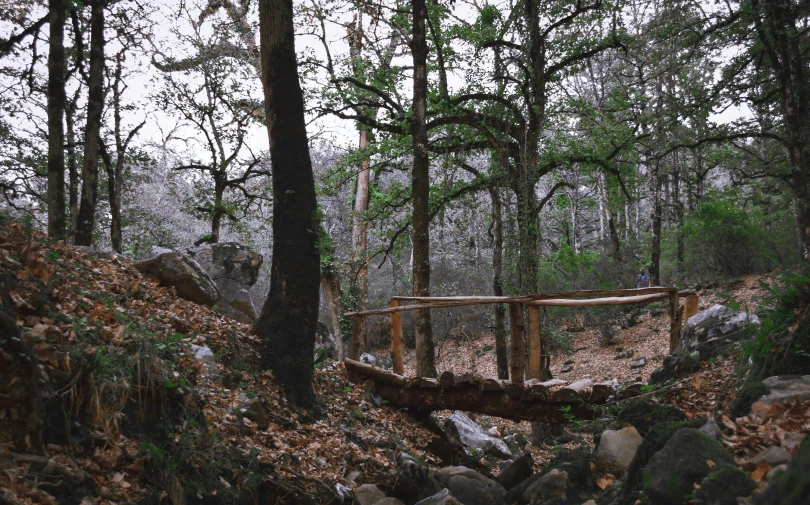 a wooden bridge in the woods next to rocks