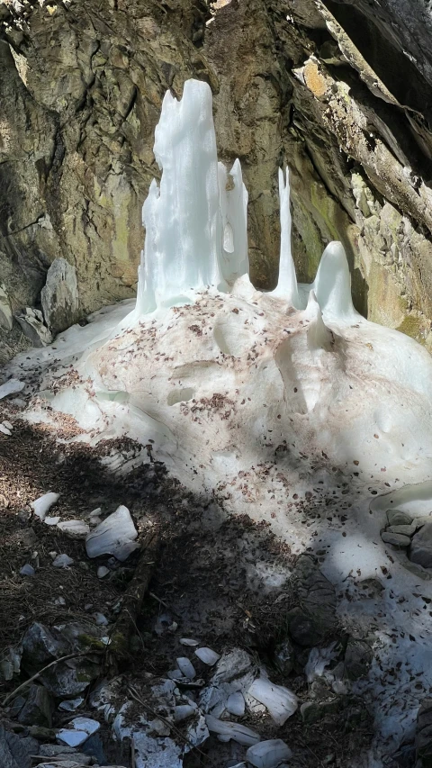 an ice covered tree sitting in the sun