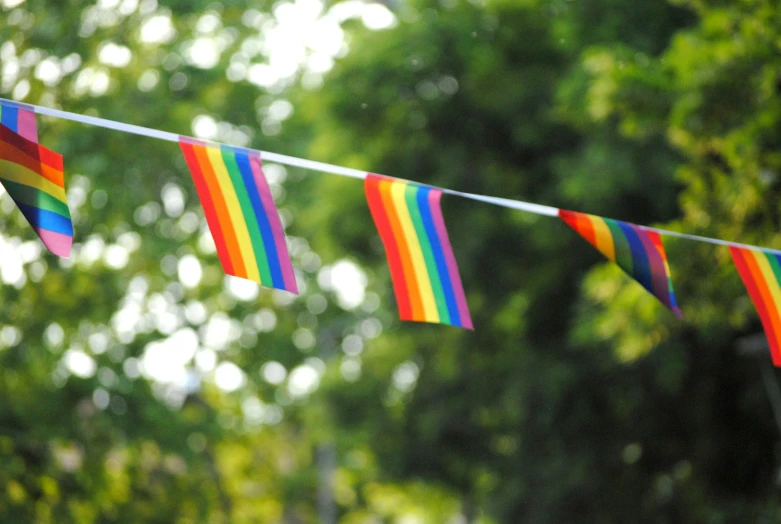 many different colors of rainbow striped streamers strung over trees