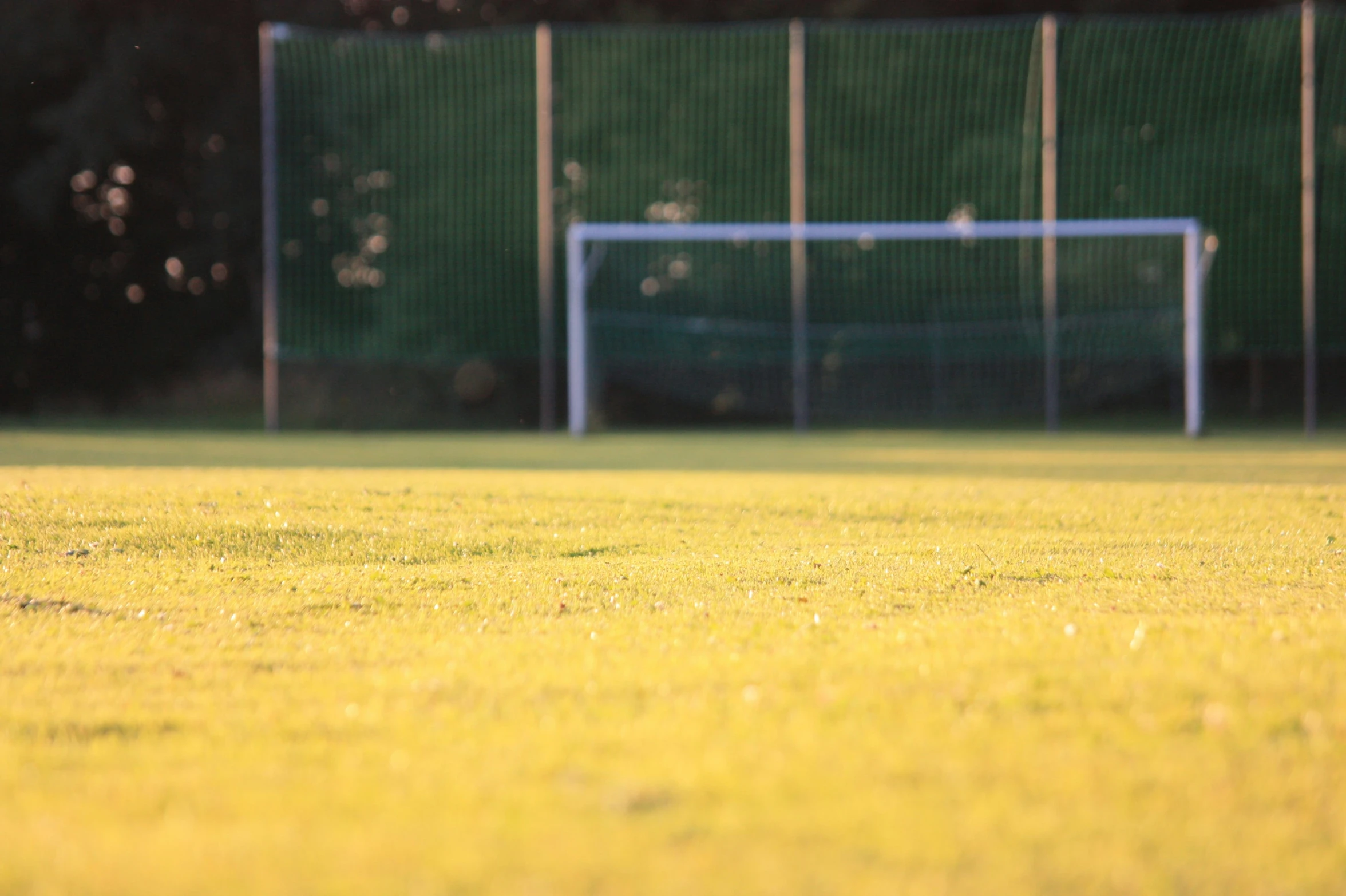 a  standing on top of a field holding a soccer ball