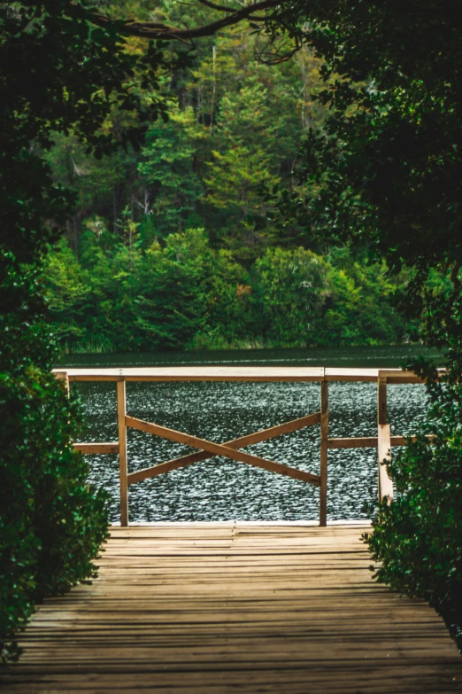 a bridge surrounded by trees across from a lake