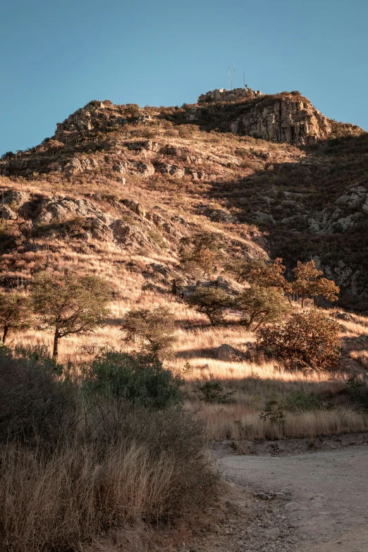 a dirt trail with a mountain in the background