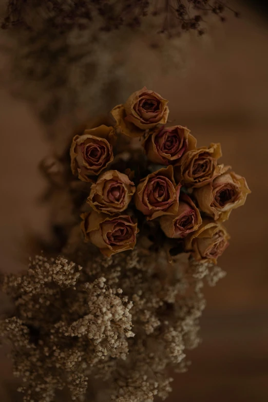 a bunch of orange roses sitting next to each other