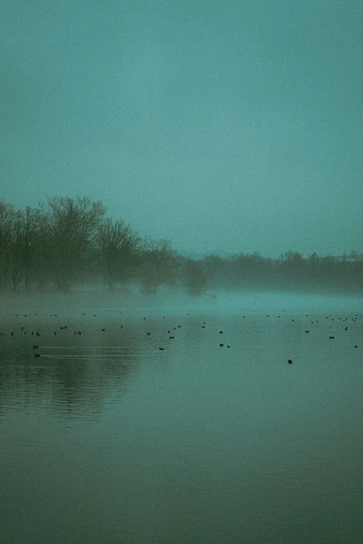 the water is very calm for all to see