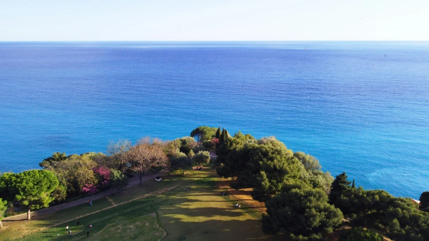 this is a beautiful sea view with many trees