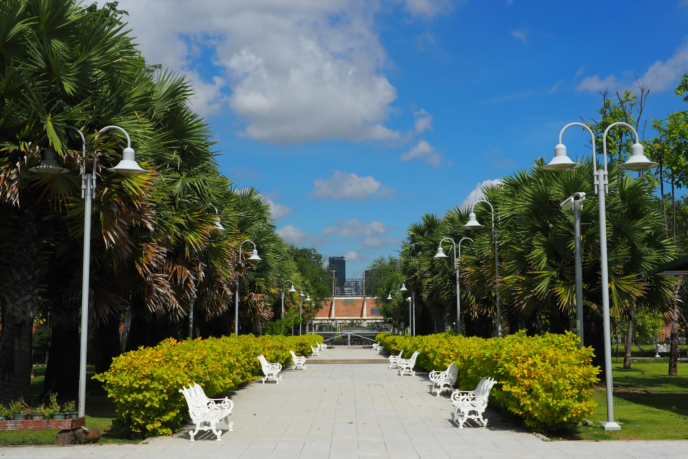 a view of a park that is very wide