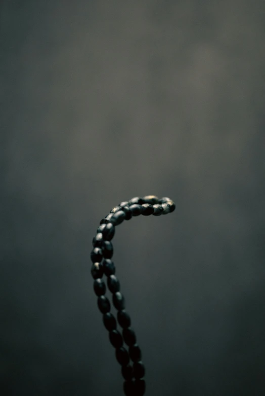 this is a long rosary that resembles a large snake