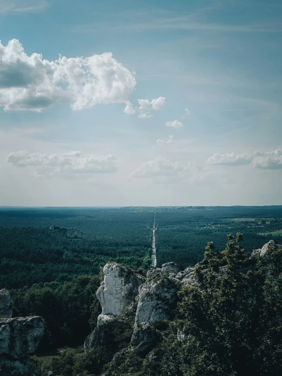 a bird is sitting on top of a rock