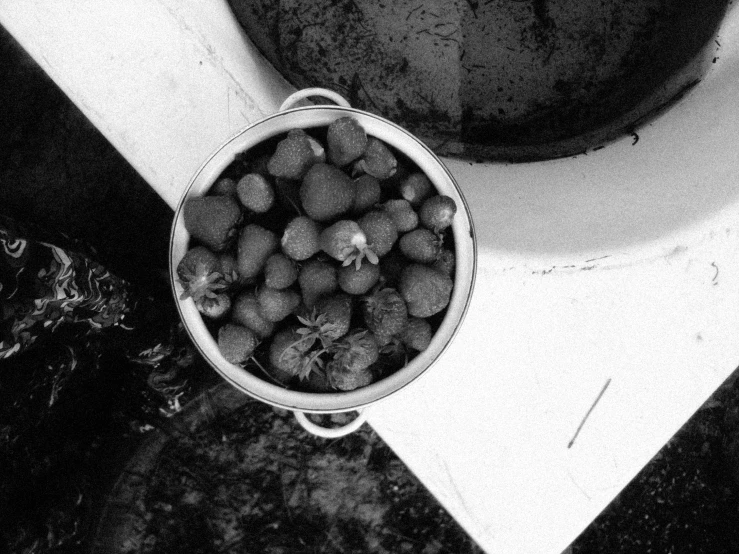black and white po of a bucket of berries