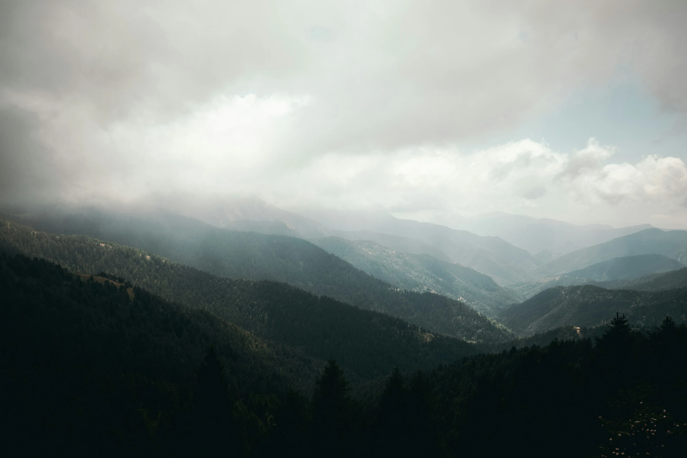 a dark forest filled with mountains covered in clouds