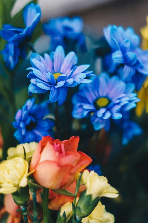 a bunch of colorful flowers sitting in vases