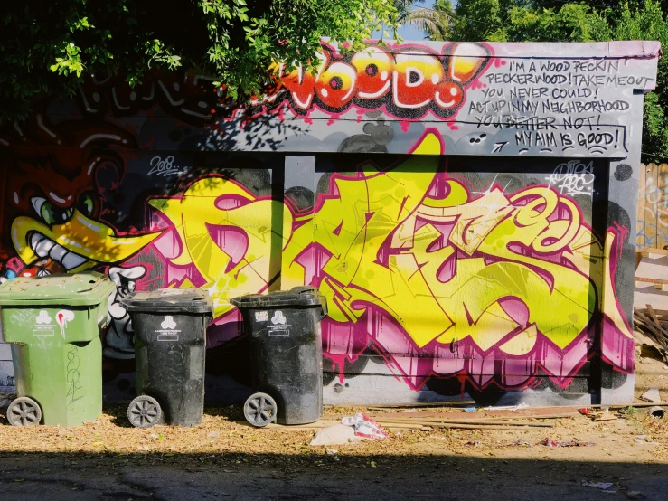 graffiti on the wall and trash cans sitting on the ground