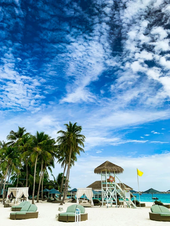 a beach with chairs, an umbrella and palm trees