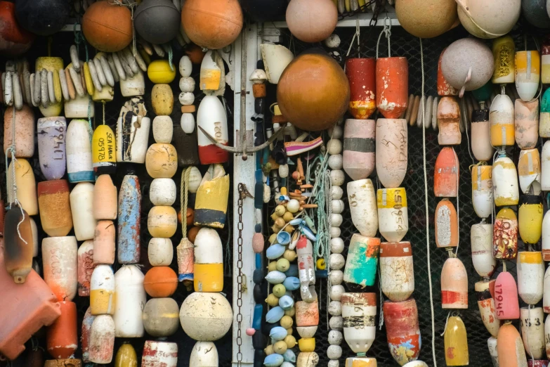 a display made up of some different types of sea shells