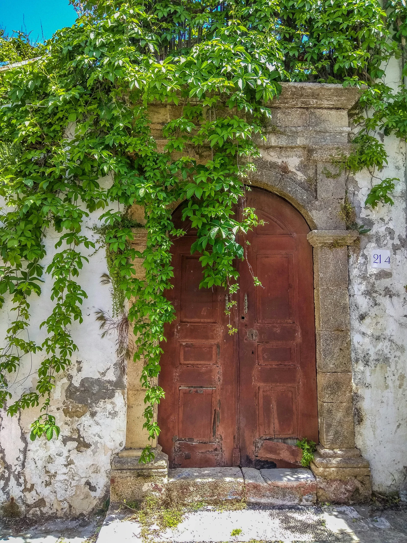 an old stone building has an wooden door with vines growing over it