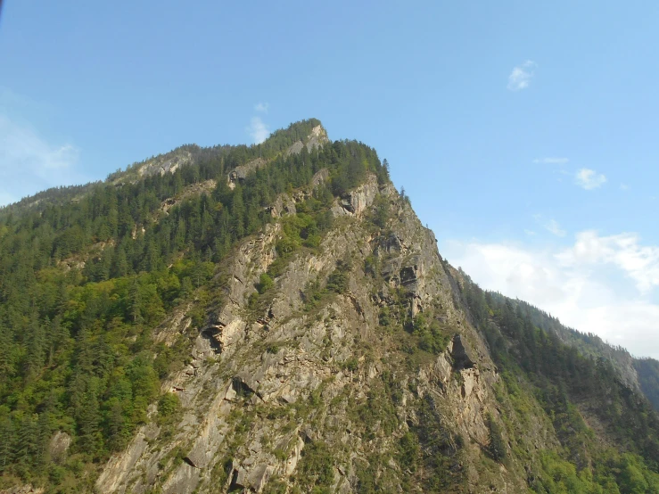 the side of a mountain with lots of plants growing on it