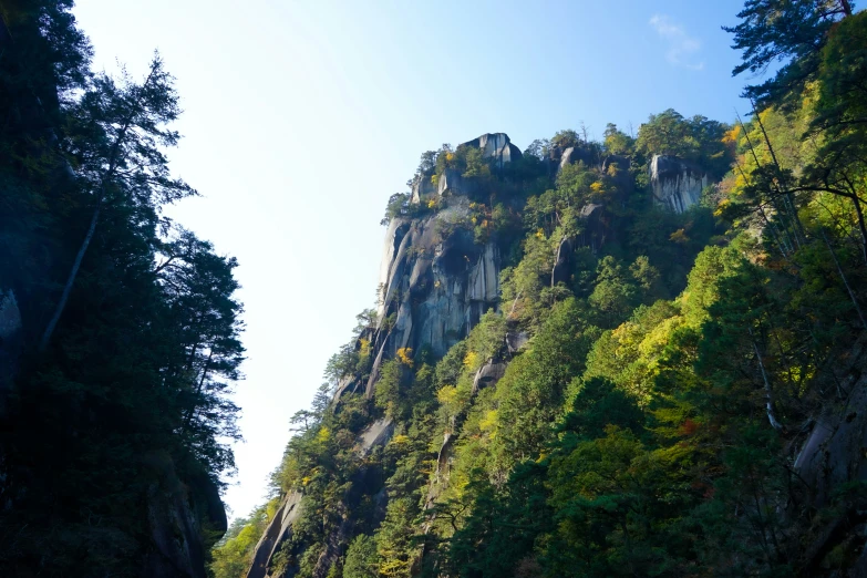 the face of a mountain with trees on it