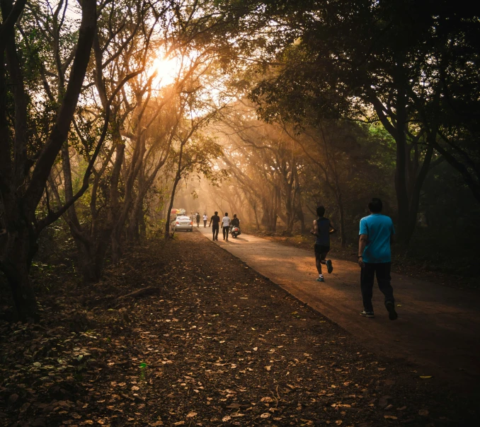 many people are on the road with sun peeking through trees