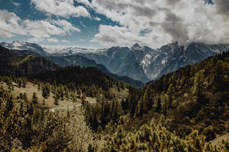 the mountain range is surrounded by many trees