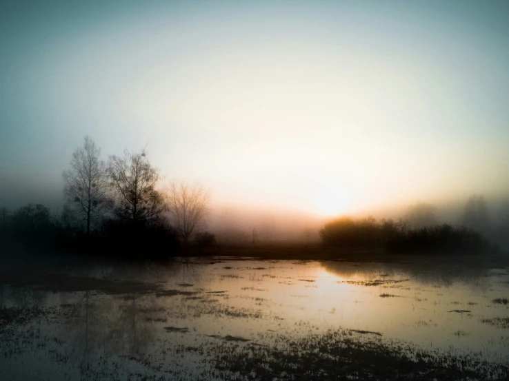 a foggy lake surrounded by a forest on a gray day