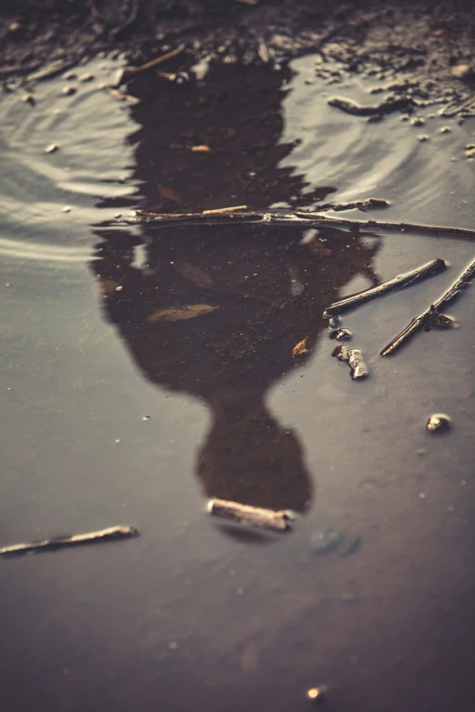 the reflection of a cigarette is in water