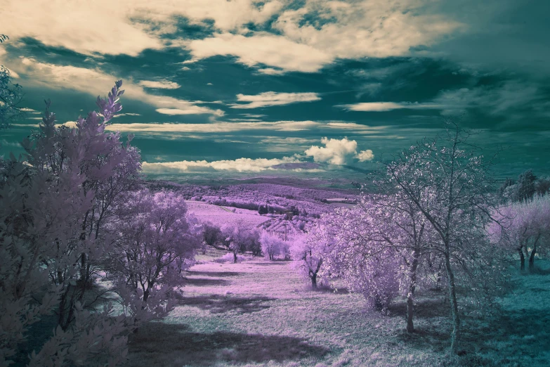 an artistic painting shows purple trees with blue sky in the background