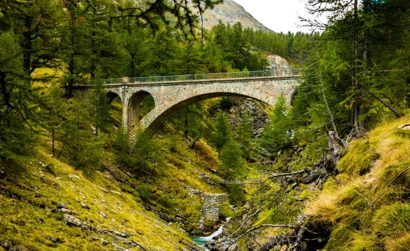 there is a large bridge in the woods