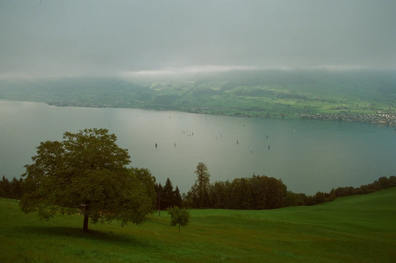 a lake surrounded by grass on top of a mountain