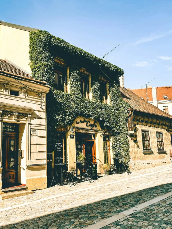 vines grow on the outside of a building in the middle of town