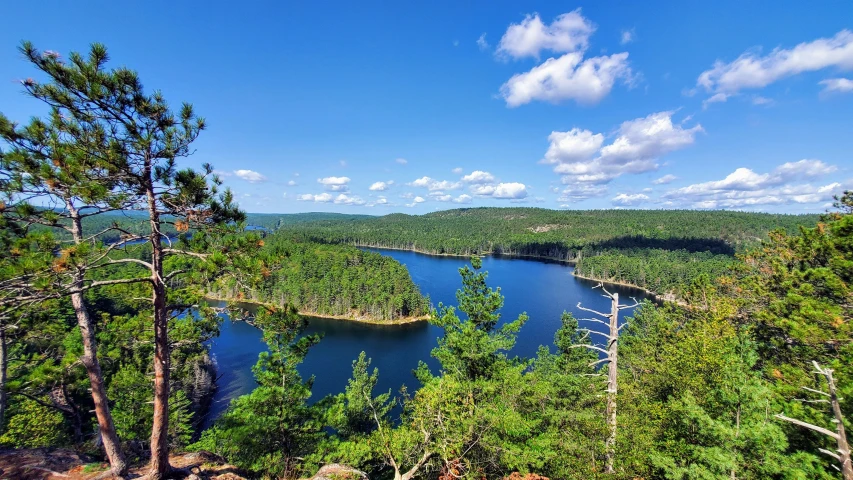 an image of an area with a blue sky and water