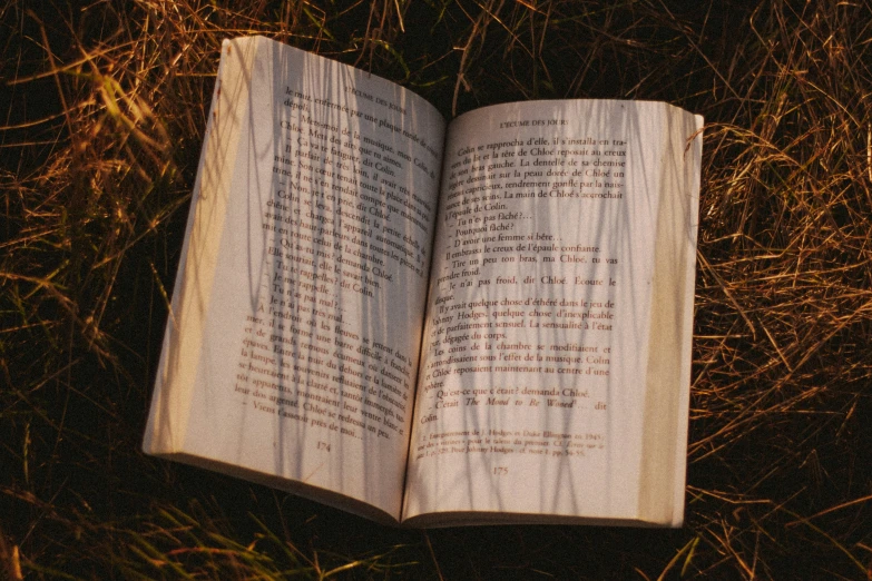 an open book sitting in the middle of a field