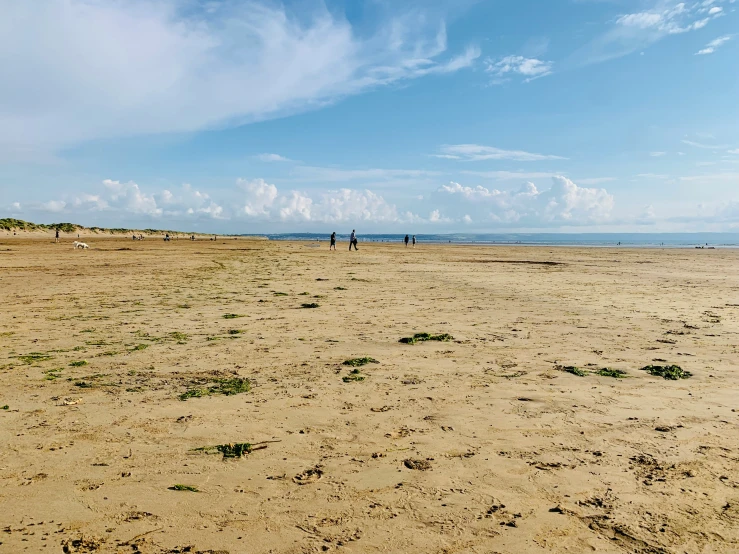 a beach covered with people flying kites under a blue sky