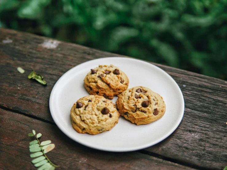 four chocolate chip cookies sitting on a white plate