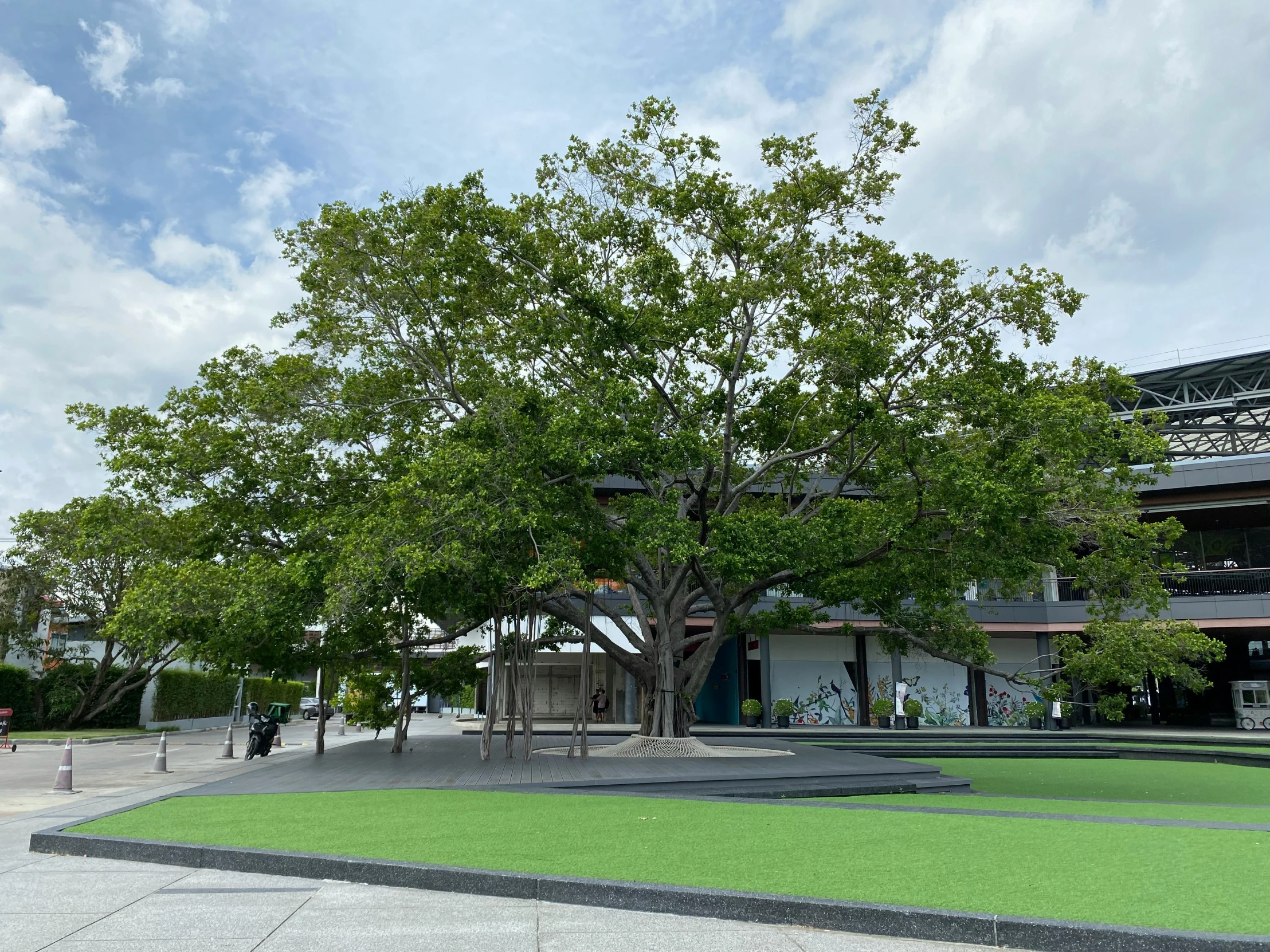 a tree in front of a building with a green field around it