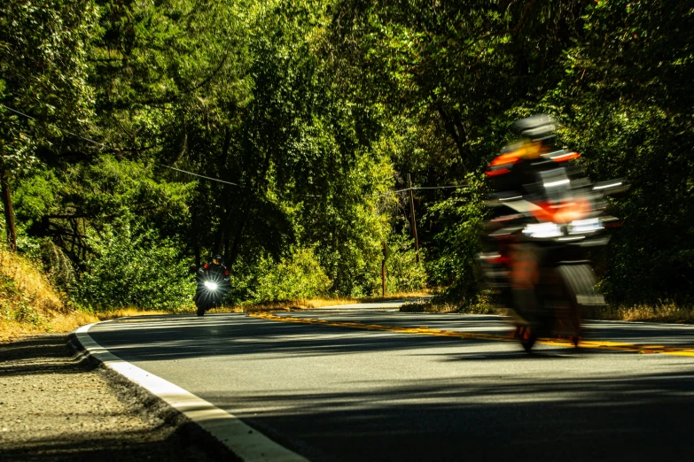 a motorcycle is driving down a road next to tall trees