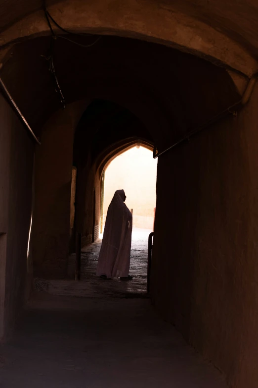 a person dressed in an elaborate cape walking under a tunnel