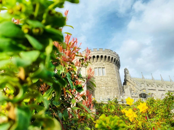 this is a very tall castle building that is near a green bush