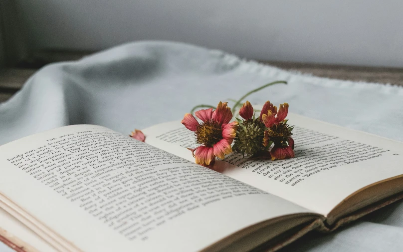 a book opened to a story of flowers and a blue bed spread