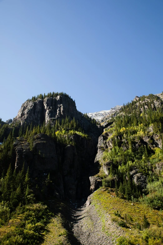 a very big beautiful mountain by a forest